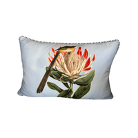 Cushion - Sugarbird on Protea on Blue - 60x40 (Includes Feather Cushion Inner/Pad)