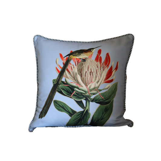 Cushion - Sugarbird on Protea on Blue - 60x40 (Includes Feather Cushion Inner/Pad) (Copy)