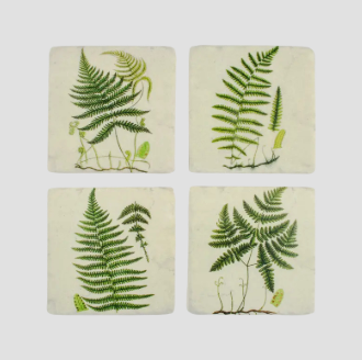 Coasters - Fern - Set of Four