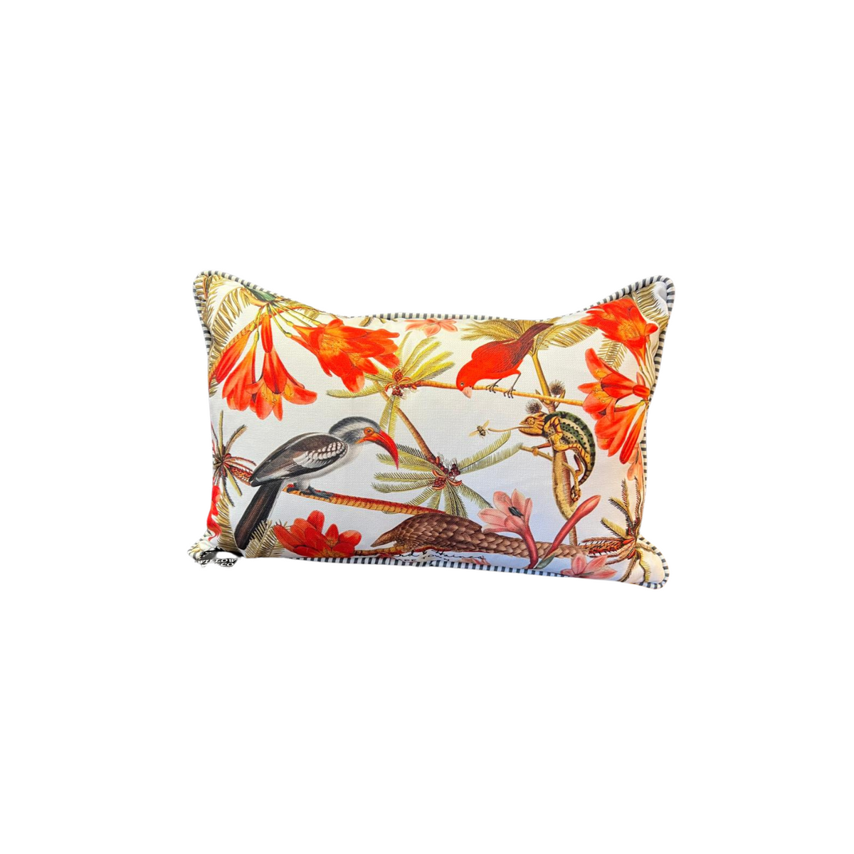 Cushion - Pangolin on White - 60X40 (Includes Feather Cushion Inner/Pad)