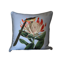 Cushion - Sugarbird on Protea on Blue - 50x50 (Includes Feather Cushion Inner/Pad)