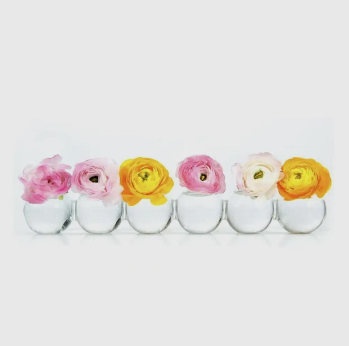 Caterpillar Vase - Small