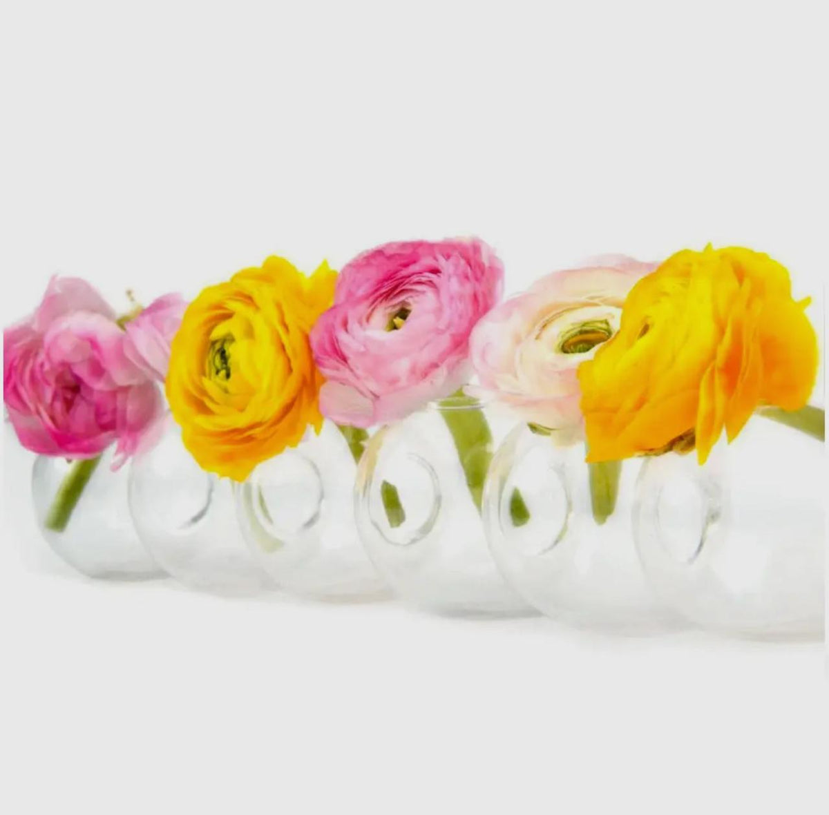 Caterpillar Vase - Small
